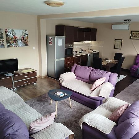 Apartment Filipovic Podgoriçe Dış mekan fotoğraf